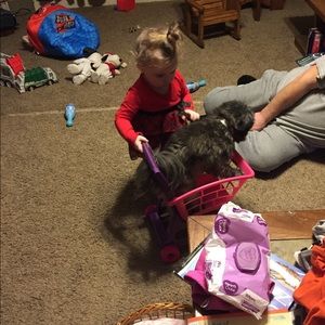 Meet your Posher, Jamie